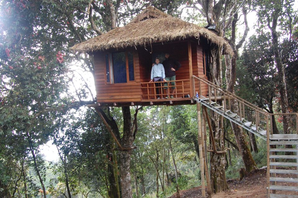 Private Munnar Tea Trek - Birds, Wildlife Chances, and How to Watch Without Getting Stressed
