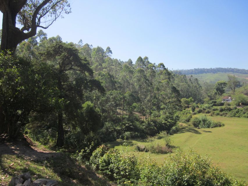 Private Munnar Tea Trek - What’s Included in the $14 Private Day (and Why It Can Be Good Value)