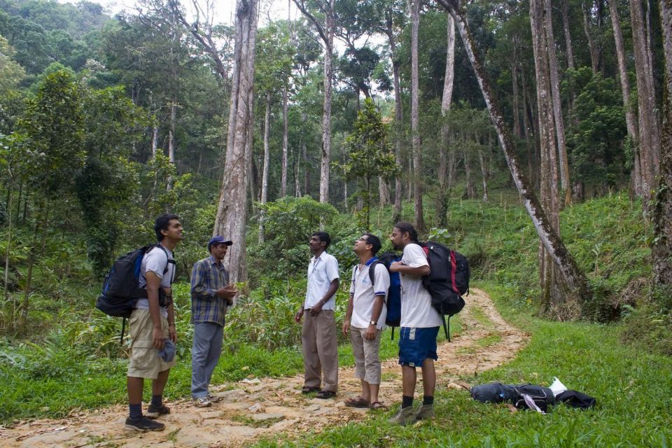 Private Munnar Tea Trek - Who This Private Munnar Tea Trek Fits Best