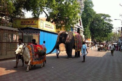Private Once Upon A Madurai Trail Walking Tour - Stop 1: Walking the bylanes around Meenakshi (without entering the temple)