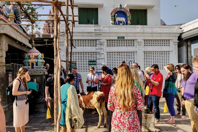 Private Peacock Trail Walking Tour in Mylapore - The heart of the neighborhood: walking Mylapore’s 2,000-year story