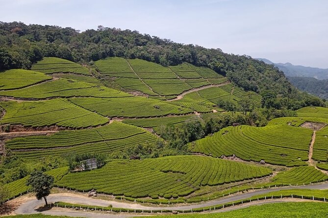 Sandal Wood & Sight Seeing Tour (Munnar Valley Trekking & Tours) - A tight Munnar loop in 5 to 6 hours (and how to pace it)