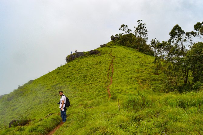 Scenic Kerala : Hills, Wildlife, Backwaters & Beach Bliss- 7 Days - Thekkady and Periyar: spice science, then elephants on the water