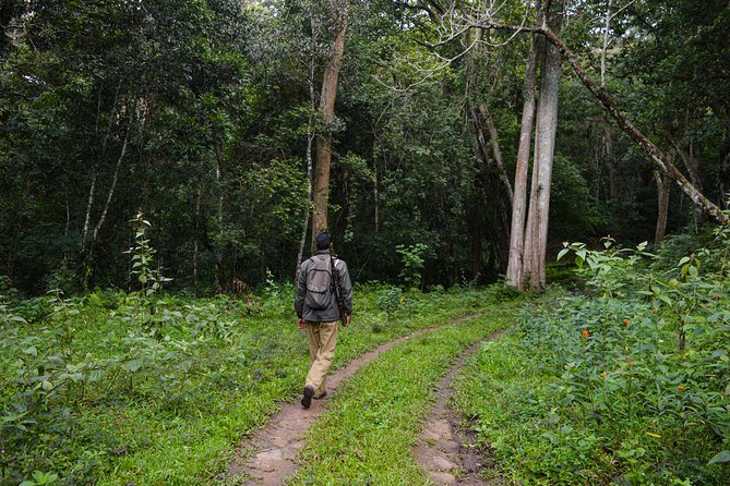 Scenic Kerala : Hills, Wildlife, Backwaters & Beach Bliss- 7 Days - Alleppey by private houseboat: how to slow down without losing the itinerary