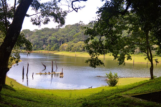 Scenic Kerala : Hills, Wildlife, Backwaters & Beach Bliss- 7 Days - Heading back toward Kochi: Mararikulam beach as your easy wrap-up