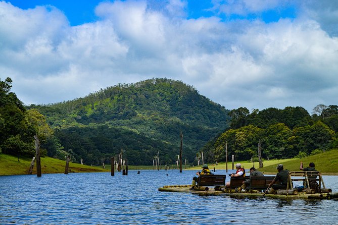 Scenic Kerala : Hills, Wildlife, Backwaters & Beach Bliss- 7 Days - Price and what you actually get for $891.93 per group
