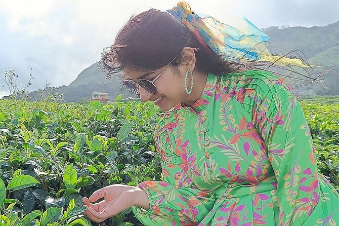 Solo Kerala Private Tour Package ( 5 Nights) - Munnar, Thekkady, Houseboat - Entering Kerala through Kochi, then straight to Munnar