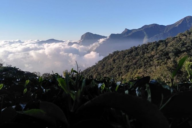 Sunrise Tour in Top Station, Munnar ( By Munnar Info) - Echo Point and Kundale Lake: quick stops that still feel worth it