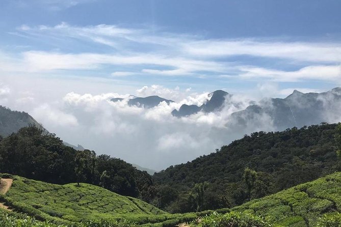Sunrise Tour in Top Station, Munnar ( By Munnar Info) - Mattupetty Dam: the scene switch you’ll appreciate