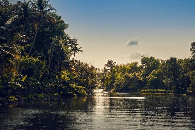 Sunset Cruise with Village Life and Local Food - Sunset Canoe Time Near Kochi That Feels Local