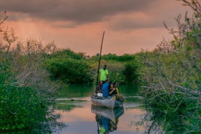 Sunset Cruise with Village Life and Local Food - Getting to Kumarakom: Check-In and the Easy Start