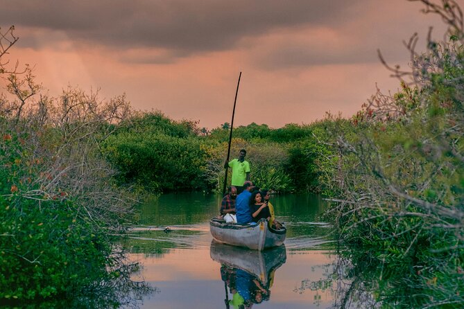 Sunset Cruise with Village Life and Local Food - Getting to Kumarakom: Check-In and the Easy Start