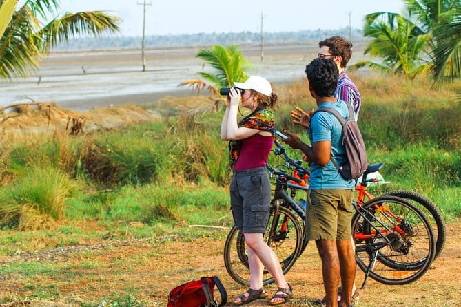 Village Bike Tour & Birdwatching - The 25 km ride: what you’ll pedal through (and how it feels)