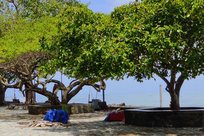 Walking Tour Of Fortkochi & Local Lunch - Price and value for a 3-hour guided experience at $34