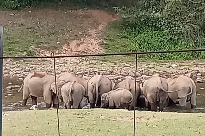 Wild Elephant Anakulam & Waterfalls Tour(munnar valley Trekking) - Why Anakulam is the Star Part of This Munnar Day