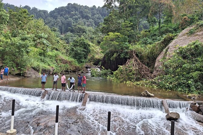 Wild Elephant Anakulam & Waterfalls Tour(munnar valley Trekking) - The Elephant Viewpoint Waiting Game (And How to Make It Worth It)