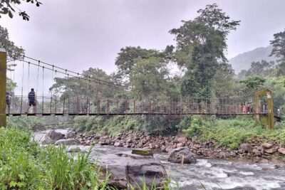 Wild Elephant Anakulam & Waterfalls Tour(munnar valley Trekking) - Letchmi Estate and the Tea Plantation Photo Stop You’ll Appreciate More Than You Expect